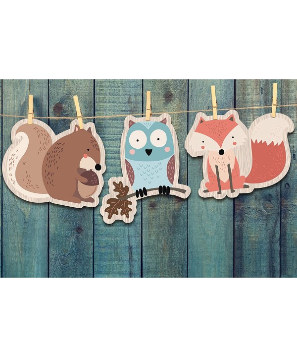 Woodland Creatures Party Supplies - Nursery and Baby Shower Decorations ...